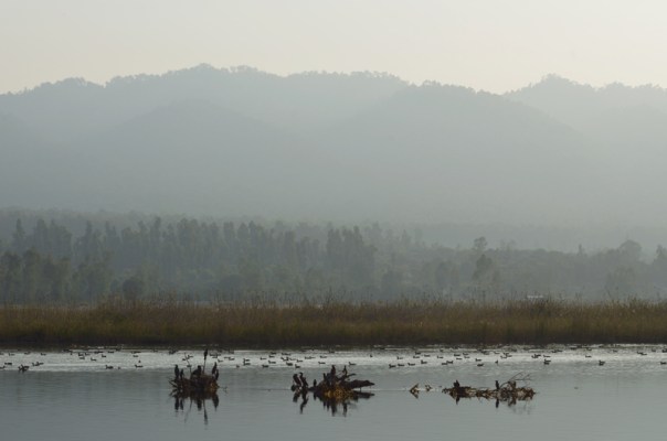 The depth of water at the lake varies from 3 to 20 ft.