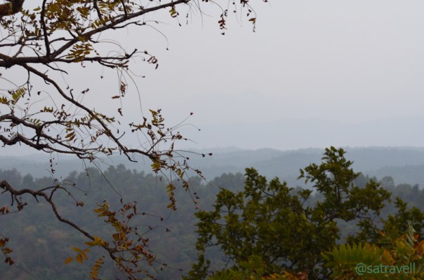Located in Yamunanagar district of Haryana, the Park lay spread in the foothills of Shivalik Range sharing its border with three other states – Himachal Pradesh, Uttarakhand and Uttar Pradesh.