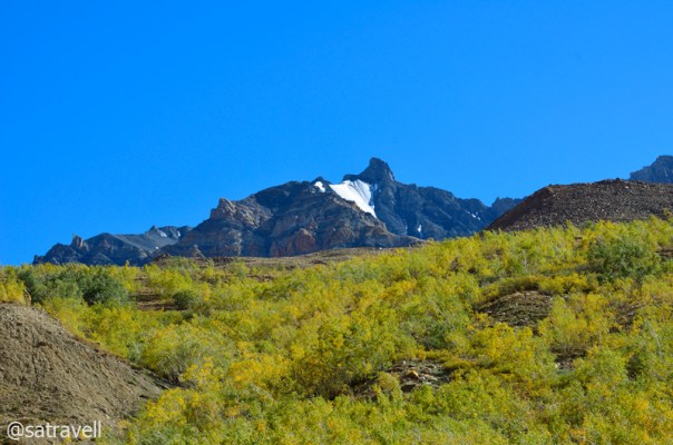 Peak 5255 m Shilatakar