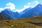 Mighty Kunzum La; wedged between CB peaks, the Dakka Glacier in the backdrop.