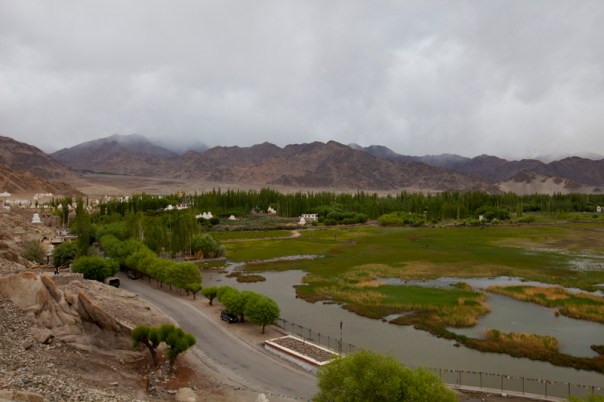Shey wetlands captured from the Gompa. 