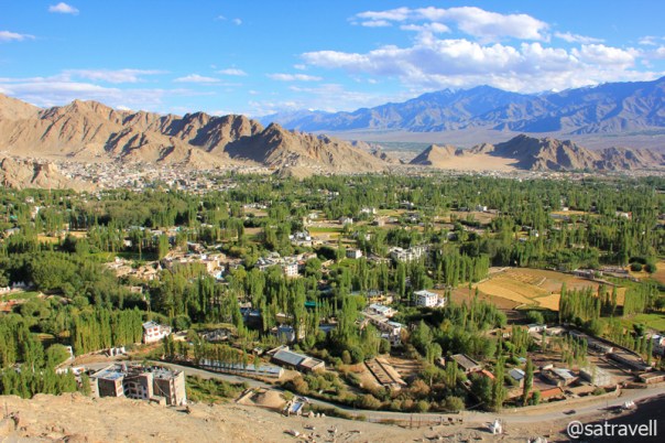 Green Leh; interspersed with Poplars and Willows