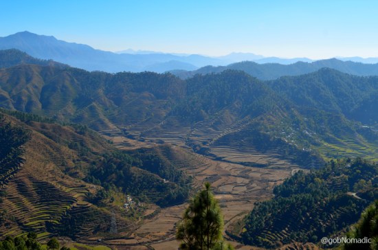 The terraced fields of fertile Nayar Valley
