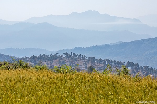 View towards Pithoragarh hills. 