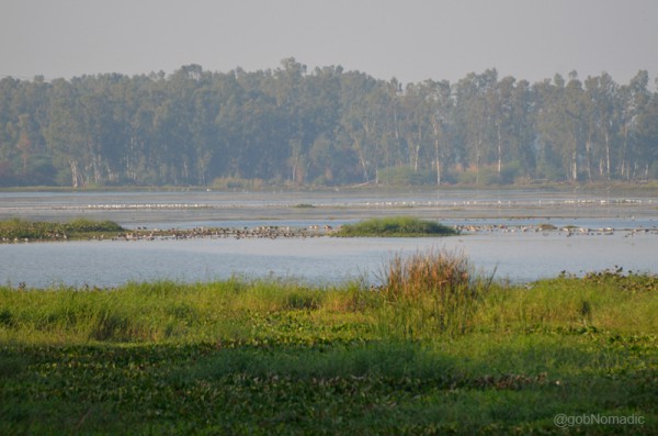 A portion of the sanctuary as observed from a watchtower
