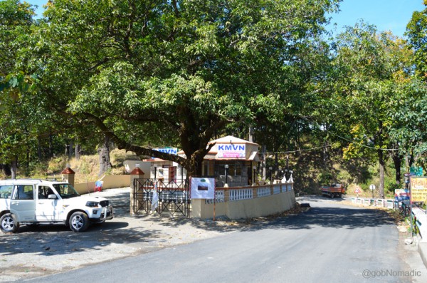 The mango tree at Ghatgarh, a birdlife paradise, where Corbett used to take a smoke break on his way to Nainital