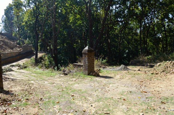 Jim used to hard walk up and down the bridle path while his mother and sister Maggie and Doyle preferred dandies.