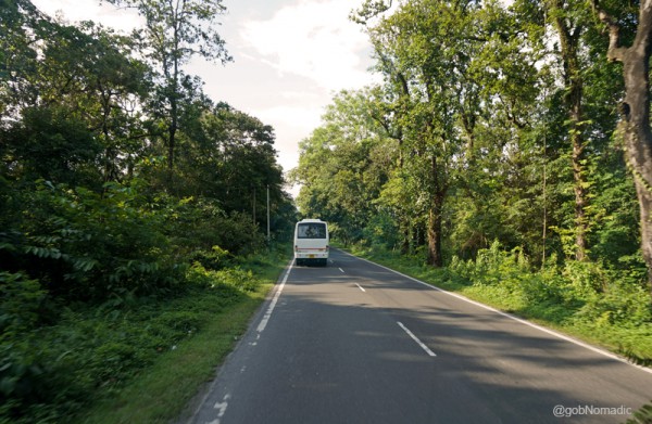 Passing through the Mahananda Wildlife Sanctuary