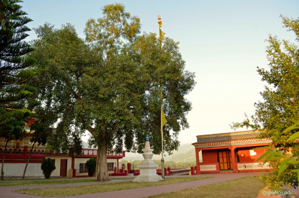 The courtyard; view towards the Valley