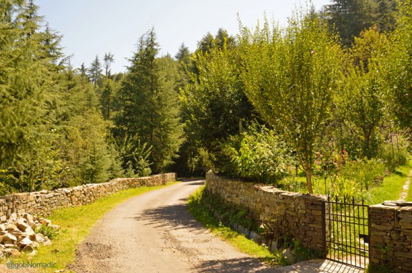 At Bhuira in Rajgarh