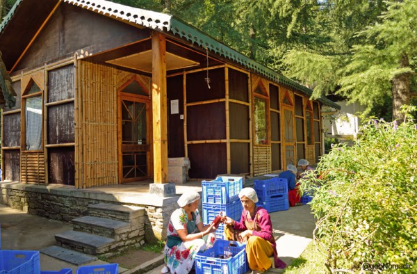 The labeling and packing office