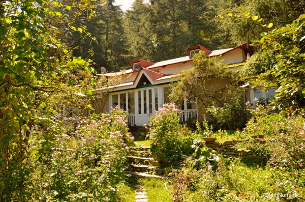 Hugged by a wooded cover of tall deodars, her humble acre-large orchard that spills with a riot of flowers