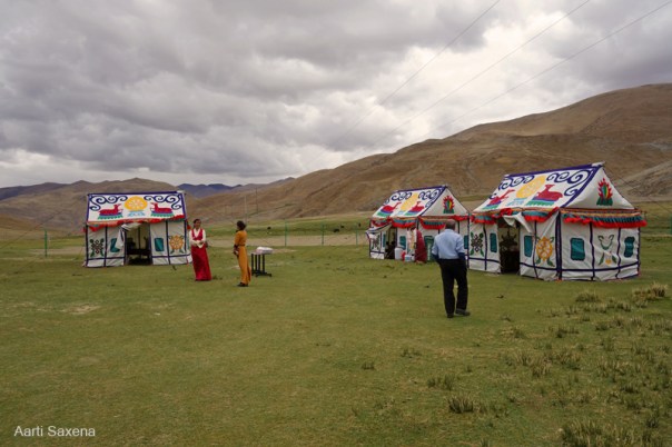 Another one from the lunch campsite