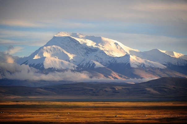 The Gurla Mandhata as viewed from Darchen. Photo by Jen Reurink