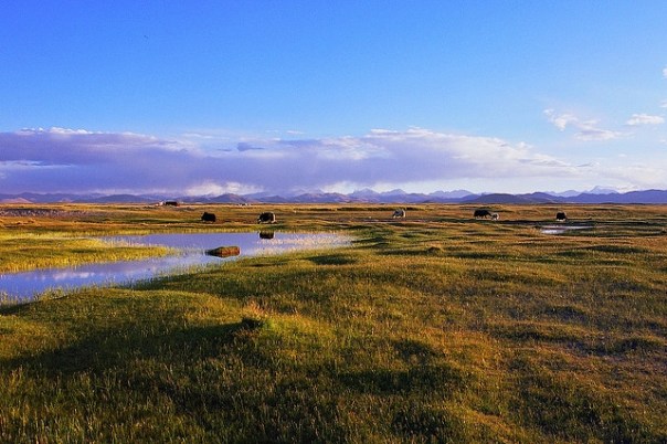 Photo by Jen Reurink