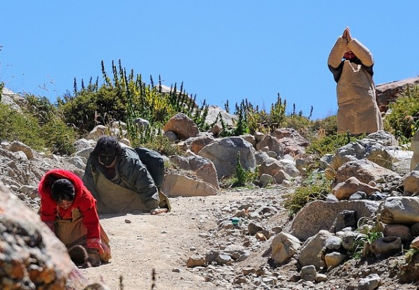 While groups like ours spent the night in Deraphuk, other pilgrims circle Kailash in a single day, walking a total of 56 km. Some prostrate themselves at every step, lying flat on their stomachs and progress by lengths of their body.