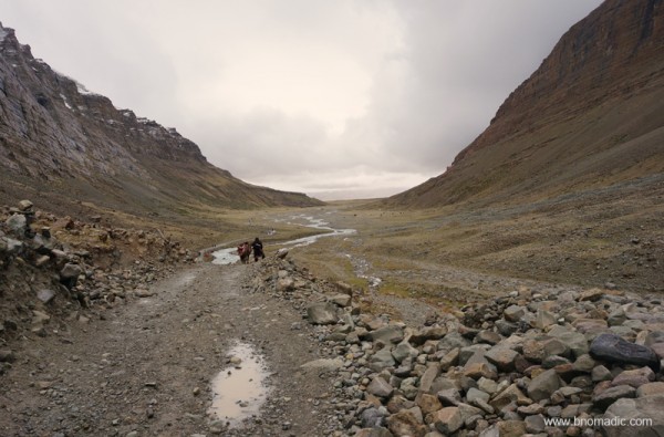It would be impossible to get lost in this valley, though there are dozens of trails that separate and re-converge along the eastern bank of the Lha Chu.
