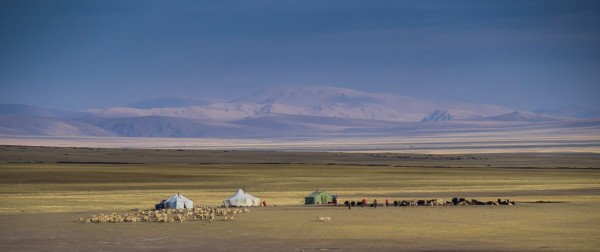 Modern Nomads at Barkha; in the shadow of Gurla Mandhata. Photo by Rita Willaert