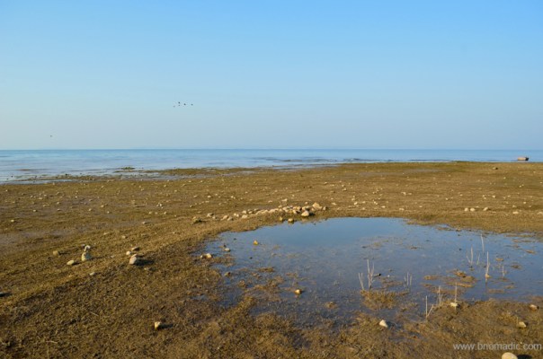 The emerging wetlands gathered international eyeballs after it was declared a Ramsar Site in 2002.