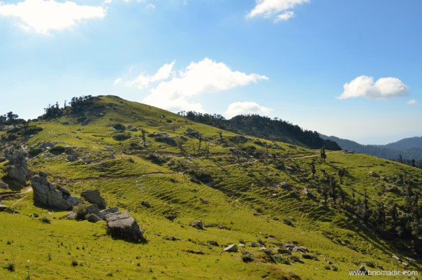 A meadow just ahead of teesri; This is of course the best stretch of the entire route; scenic as well as easy on the go.
