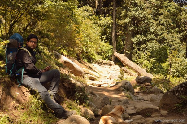 Taking a short rest in a wooded patch of the climb between doosri and teesri