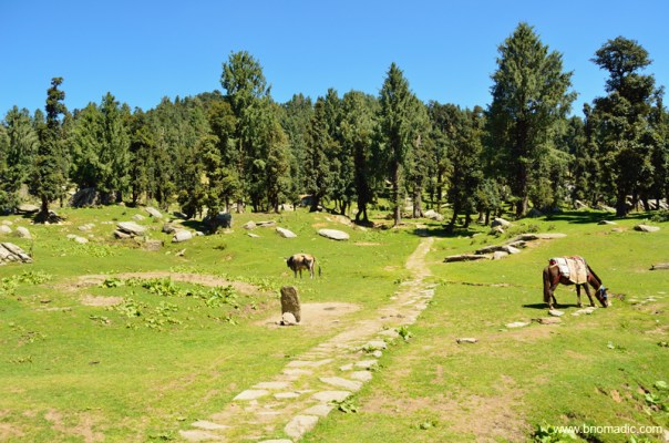 At 2885m, Jamnala is a good campsite insofar as availability of water is concerned