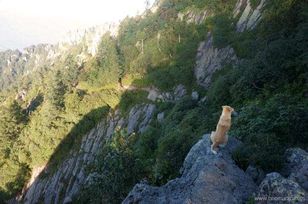 The trail downwards; this dog accompanied us throughout the trek