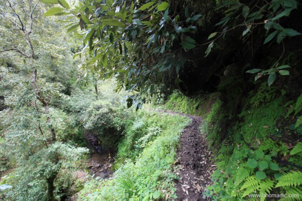 The trail to the abandoned tunnel. Photo by Sarabjit Lehal. More images at Flickr