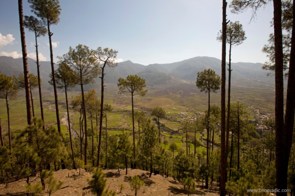 Valley view from Jarmola Dhaar