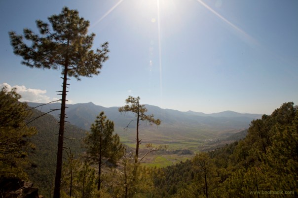 The valley of Purola is said to be one of the most fertile as well as widest valleys of the region.